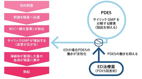 オナニー うつ病|自慰行為をやめると体にどんな変化が起きるのか？